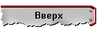 Вверх