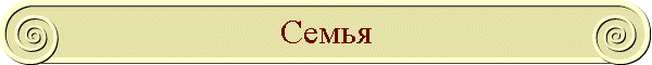 Семья