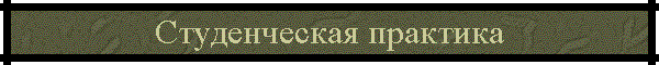 Студенческая практика