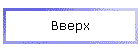 Вверх